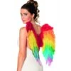 ALAS DE PLUMAS ARCOIRIS
