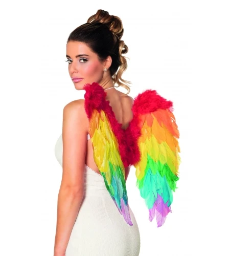 ALAS DE PLUMAS ARCOIRIS