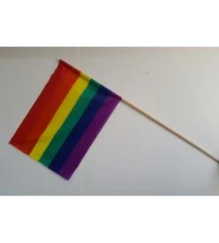 BANDERA ORGULLO GAY 60X40 CON PALO DE MADERA