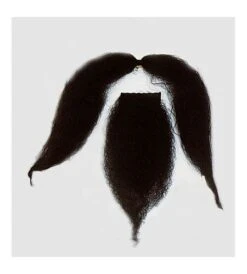 BIGOTE Y PERILLA CHINO