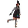 DISFRAZ BRUJA DE RAYAS ADULTO