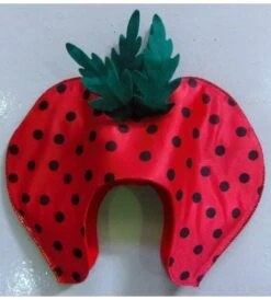 SOMBRERO FRESA FIELTRO