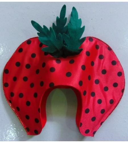 SOMBRERO FRESA FIELTRO