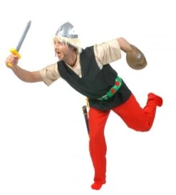 DISFRAZ ASTERIX ADULTO