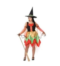 DISFRAZ BRUJA COLORES