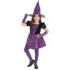 DISFRAZ BRUJA MININOS PURPURINA INFANTIL