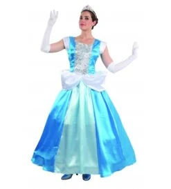 DISFRAZ CENICIENTA ADULTO