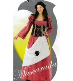 DISFRAZ DONCELLA MEDIEVAL