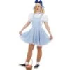 DISFRAZ DOROTHY ADULTO