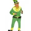 DISFRAZ DUENDE VERDE ADULTO