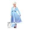 DISFRAZ ELSA CON PELUCA FROZEN2 EN CAJA