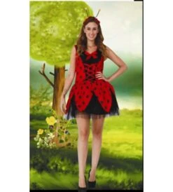 DISFRAZ MARIQUITA ADULTO