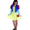 DISFRAZ PRINCESA NIEVES ADULTO