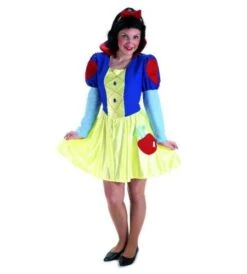 DISFRAZ PRINCESA NIEVES ADULTO