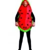 DISFRAZ SANDIA ADULTO
