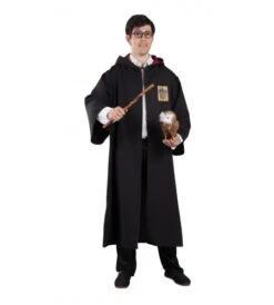 DISFRAZ MAGO ADULTO