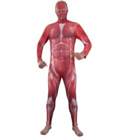 MONO CUERPO HUMANO ADULTO