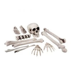 SET HUESOS 12 PIEZAS
