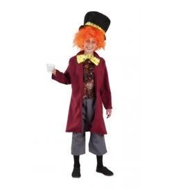 DISFRAZ SOMBRERERO LOCO INFANTIL