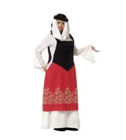 TRAJE CATALINA MEDIEVAL ADULTO